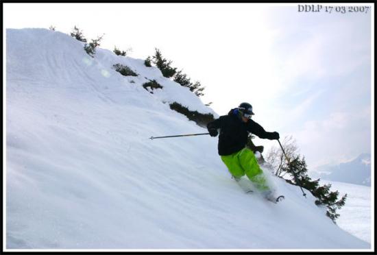 Julien (Bebert / skipass) telemark